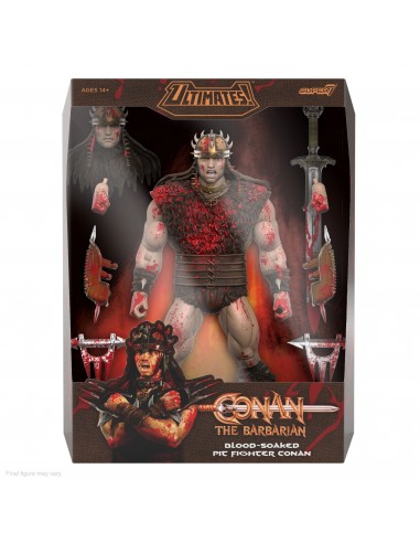 Conan le Barbare - Série Ultimates - Figurine de Conan Blood Soaked Pit Fighter - 18 cm d'Europe débarque